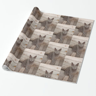 Papel De Regalo Foto de gato gris