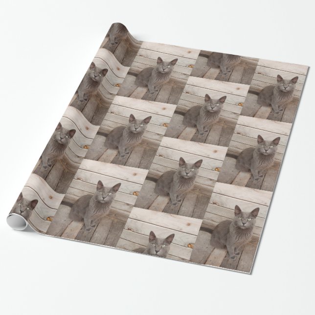 Papel De Regalo Foto de gato gris (Desenrollado)