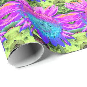 Papel De Regalo Foto de girasol retro rosa azul