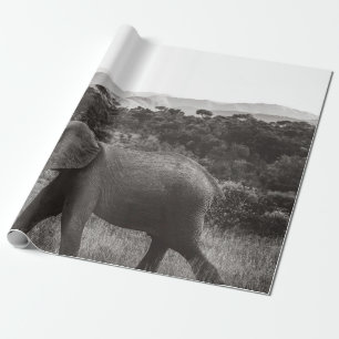 PAPEL DE REGALO FOTO DE GRAYSCALE DE ELEFANTE GRIS CERCA DE ÁRBOLE