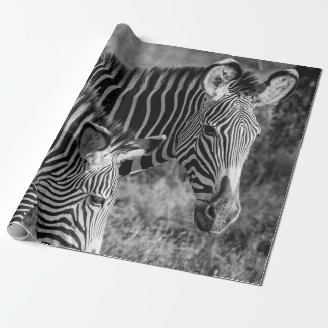 PAPEL DE REGALO FOTO DE GRAYSCALE DE ZEBRAS (Desenrollado)