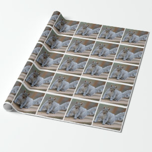 Papel De Regalo Foto de la ardilla
