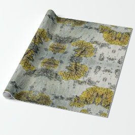 Papel De Regalo Foto de la corteza real del árbol de Aspen - Amule