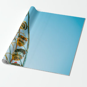 Papel De Regalo Foto de la noria verde