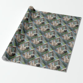 Papel De Regalo Foto de la pereza