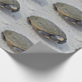 Papel De Regalo Foto de la tortuga