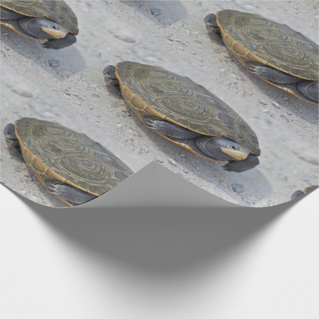 Papel De Regalo Foto de la tortuga (Esquina)