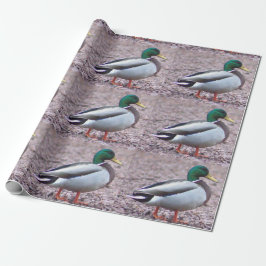 Papel De Regalo Foto de Mallard Duck