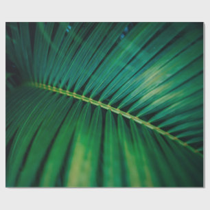 Papel De Regalo Foto de naturaleza tropical de frondosas de hojas