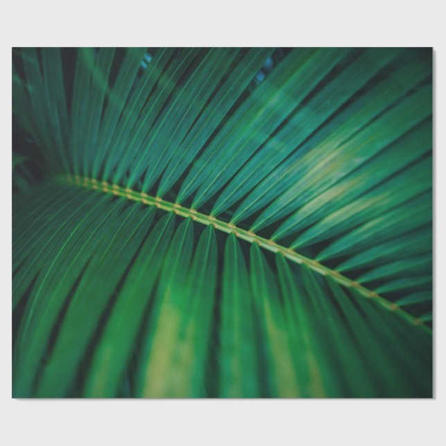Papel De Regalo Foto de naturaleza tropical de frondosas de hojas  (Superficie plana)