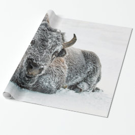 Papel De Regalo Foto de nieve de búfalo salvaje