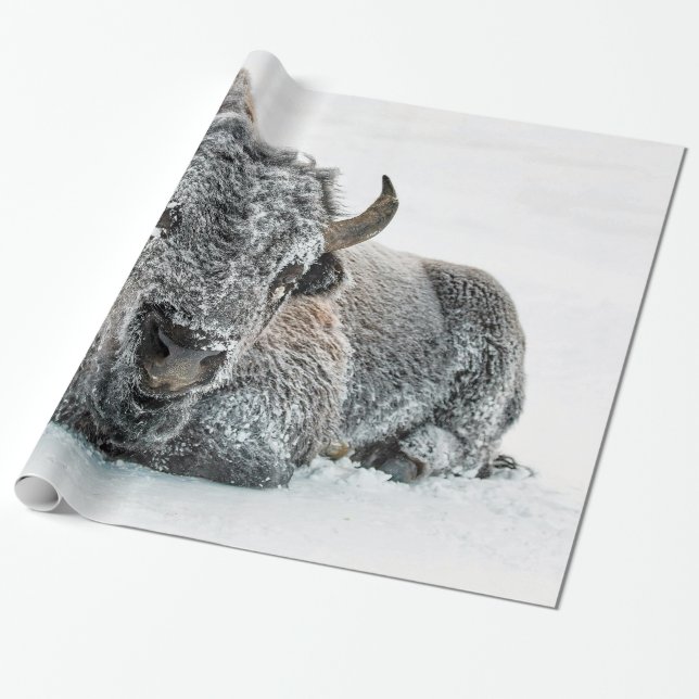 Papel De Regalo Foto de nieve de búfalo salvaje (Desenrollado)