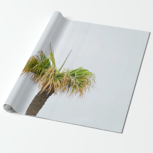 Papel De Regalo Foto de palmera marrón y verde