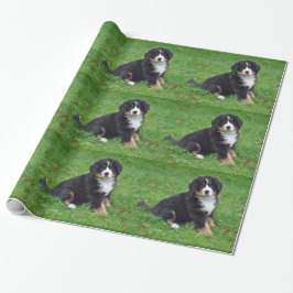 Papel De Regalo Foto de picapia de perro de montaña de Bernese
