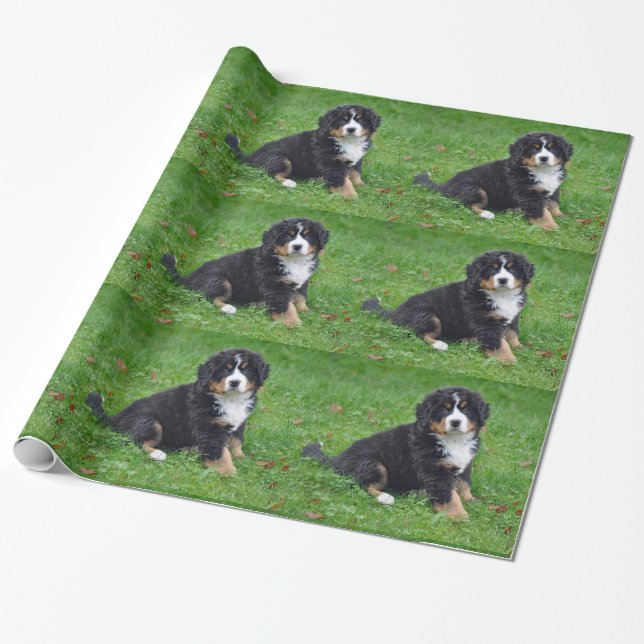 Papel De Regalo Foto de picapia de perro de montaña de Bernese (Desenrollado)