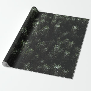 Papel De Regalo Foto de planta de abeto verde
