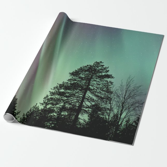 PAPEL DE REGALO FOTO DE SILHOUETTE DE AURORA BOREALIS (Desenrollado)