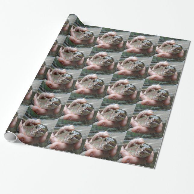 Papel De Regalo foto de Trucha Arcoíris (Desenrollado)