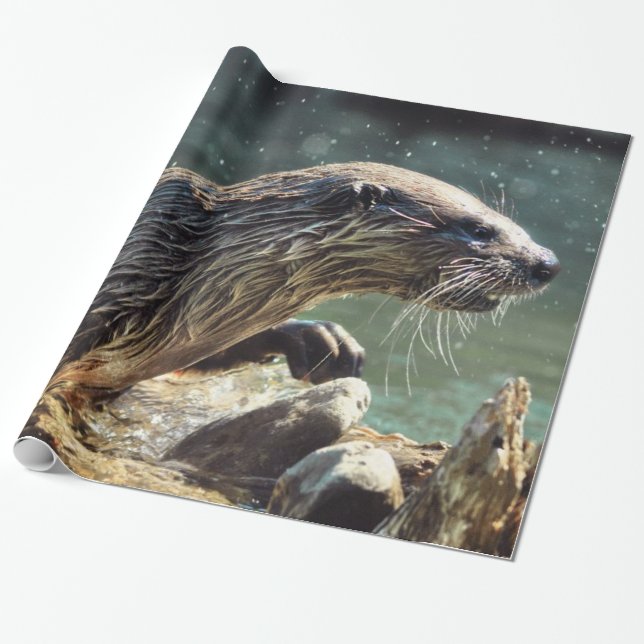 Papel De Regalo Foto de vida silvestre de River Otter (Desenrollado)