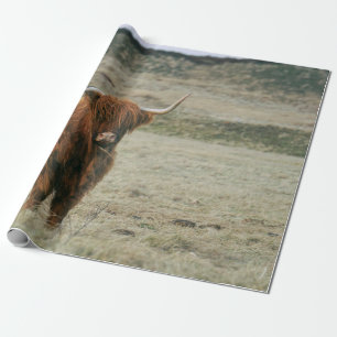 PAPEL DE REGALO FOTO DE VINTAGE HIGHLAND CATTLE COW