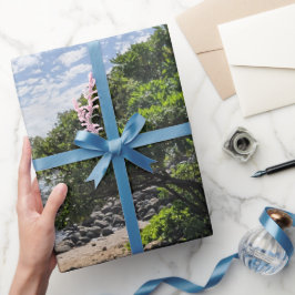 Papel De Regalo Foto del paisaje de un árbol hawaiano 