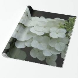 Papel De Regalo Foto floral de Hydrangea blanca en bonito