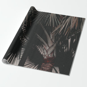 PAPEL DE REGALO FOTOGRAFÍA CERRADA DE LA PALMA VERDE PROLONGADA