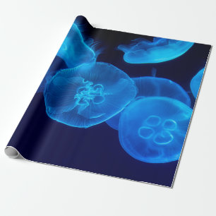 PAPEL DE REGALO FOTOGRAFÍA CERRADA DE SWARM OF JELLYFISH