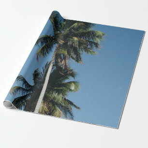 Papel De Regalo Fotografía de bajo ángulo de tres cocoteros