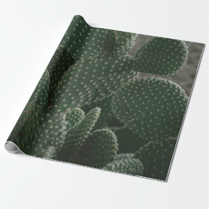 PAPEL DE REGALO FOTOGRAFÍA DE CACTUS DE SHALLOW FOCUS