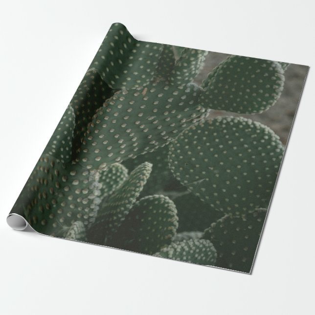 PAPEL DE REGALO FOTOGRAFÍA DE CACTUS DE SHALLOW FOCUS (Desenrollado)
