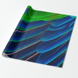Papel De Regalo Fotografía de cierre de plumas verdes y azules