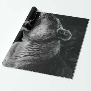 PAPEL DE REGALO FOTOGRAFÍA DE GRAYSCALE DE YAWNESS LIONESS