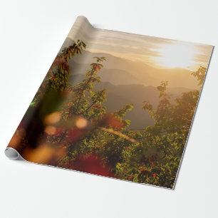 PAPEL DE REGALO FOTOGRAFÍA DE LA NATURALEZA DE ÁRBOLES VERDES CON