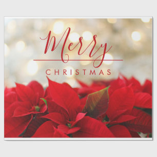 Papel De Regalo Fotografía de Poinsettias Rojas, Merry Christmas T