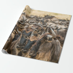 PAPEL DE REGALO FOTOGRAFÍA DE SHALLOW FOCUS DE LOS ANIMALES MARRON