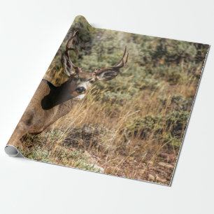 PAPEL DE REGALO FOTOGRAFÍA DE WILDLIFE DE BROWN BUCK