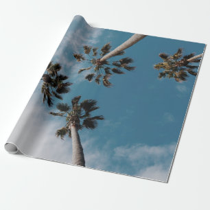 Papel De Regalo Fotografía de Wormeview en cocoteros