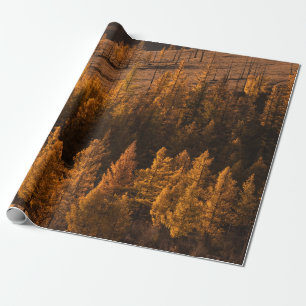 PAPEL DE REGALO FOTOGRAFÍA DEL PAISAJE DE ÁRBOLES DE COLOR MARRÓN