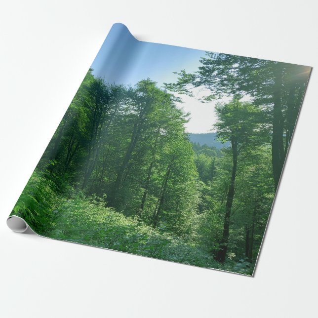 Papel De Regalo Fotografía del paisaje de los bosques verdes (Desenrollado)