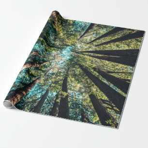 Papel De Regalo Fotografía en ángulo bajo de los árboles durante e