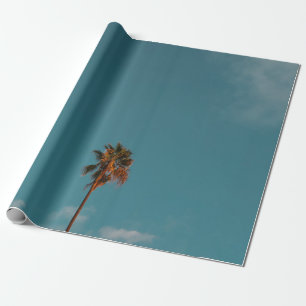 Papel De Regalo Fotografía en ángulo bajo de palmera bajo cielo