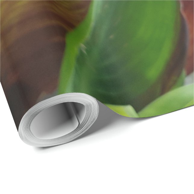 Papel De Regalo Fotografía floral de flor roja natural (Esquina del rollo)