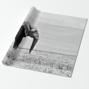 PAPEL DE REGALO FOTOGRAFÍA GRAYSCALE DE ELEFANTE