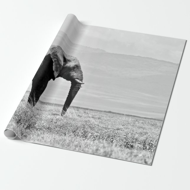 PAPEL DE REGALO FOTOGRAFÍA GRAYSCALE DE ELEFANTE (Desenrollado)