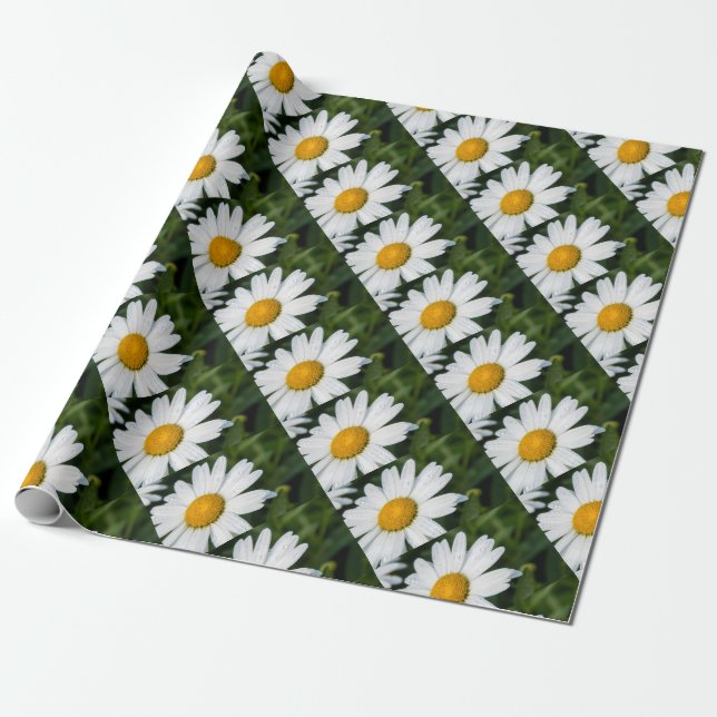 Papel De Regalo fotografía, un margueritte, hacen verde (Desenrollado)