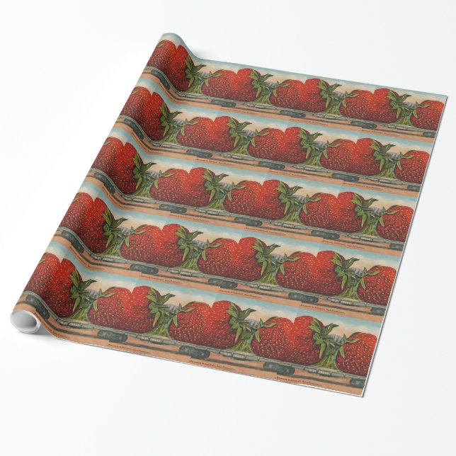 Papel De Regalo Fresas Gigante Fruto de la Antigüedad (Desenrollado)