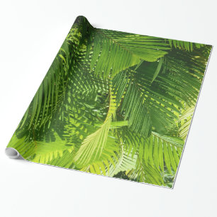 Papel De Regalo Frondas de la palma