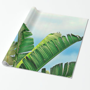Papel De Regalo Frondas desgastadas de la palma contra el cielo