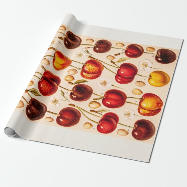 Papel De Regalo Fruta antigua de las cerezas de las variedades de (Desenrollado)